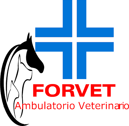 Ambulatorio Forvet